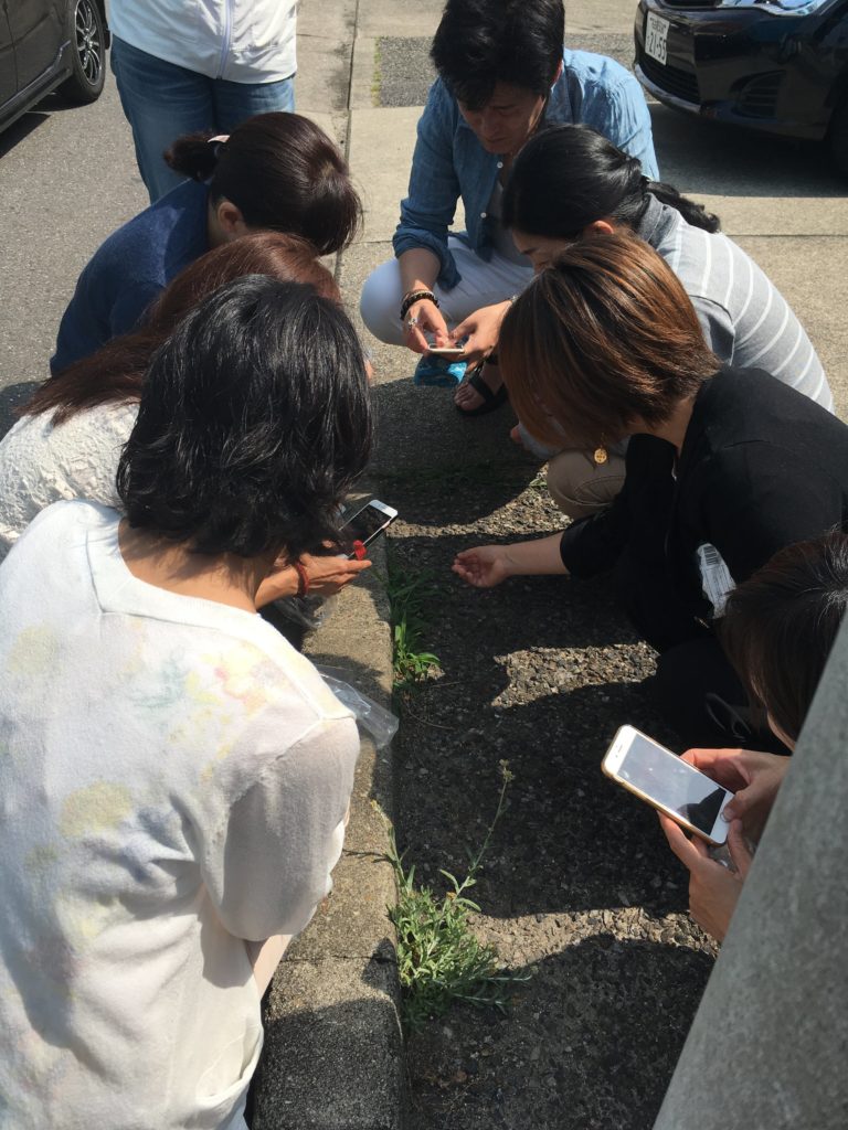 発酵と野草の学校