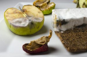 【発酵と野草の学校】発酵と腐敗は本能の心地よさで見極める！