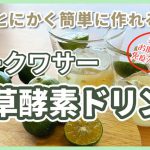 【野草とやさいのレシピ】シークワサー野草酵素ドリンク!とくにかく簡単に作れる!